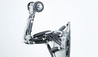 身轻体柔易推倒的生物机器人伴侣 还得等多久